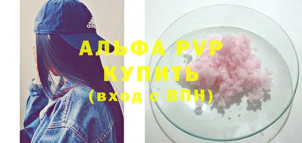 сатива Белокуриха