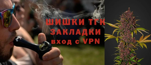 сатива Белокуриха