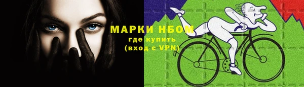 сатива Белокуриха